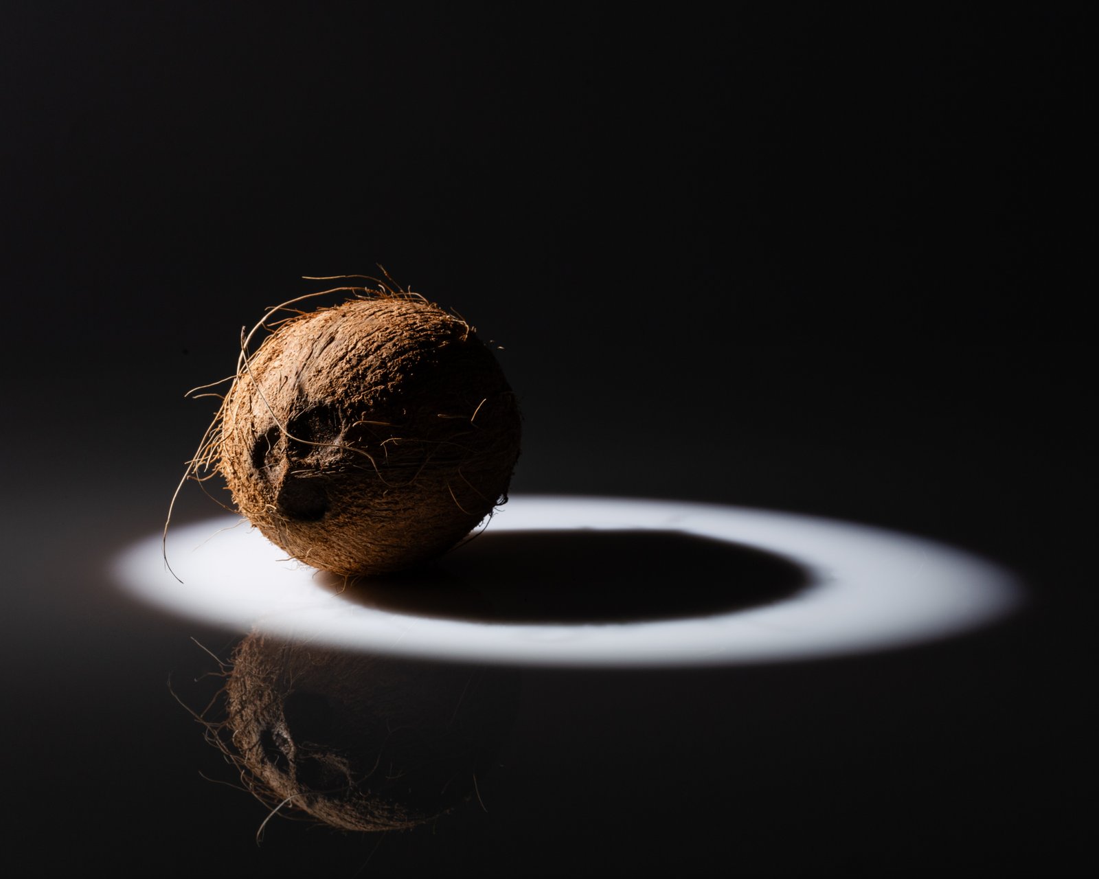 Coconut under spotlight